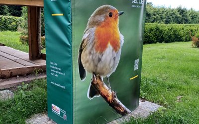 Bild Rotkehlchengarten Friedhof in Celle mit Silly Coat Husse